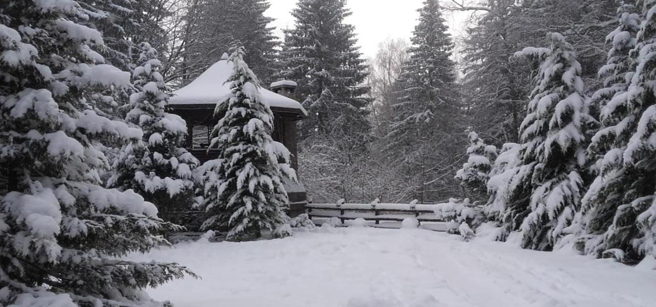 Cabana Marian (Crinul)